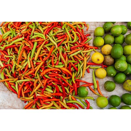 Haseltine, Tom 아티스트의 Peppers and limes at market-Vientiane-Capital of Laos-Southeast Asia작품입니다.